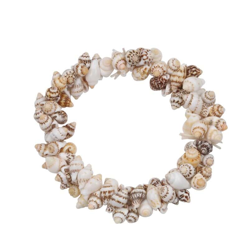 Pulseira De Concha Nassarius