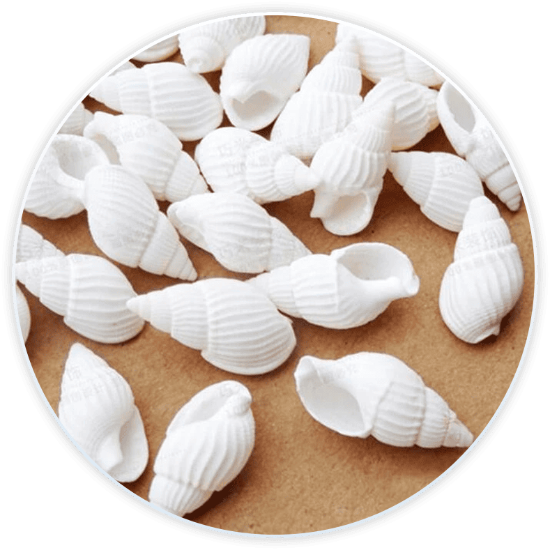 Conjunto De Conchas Do Mar Buzios Brancos Para Decoração E Diy (100 Peças)