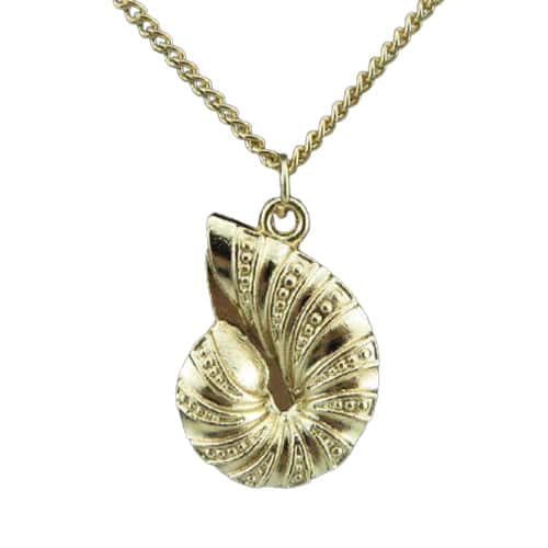 Colar De Concha Ouro Caracol